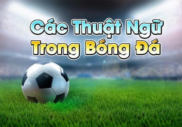 100+ Thuật ngữ đá bóng tiếng Việt & tiếng Anh phổ biến nhất