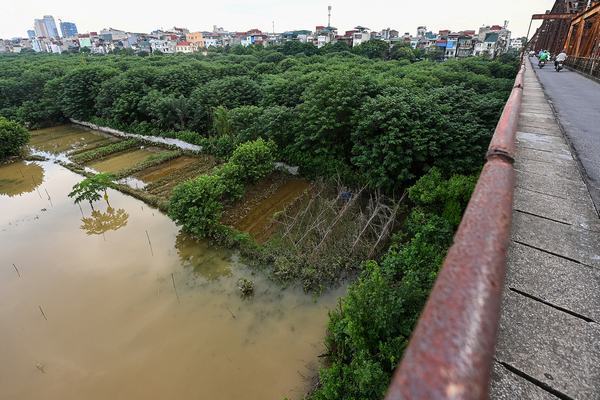 mơ thấy sông nước